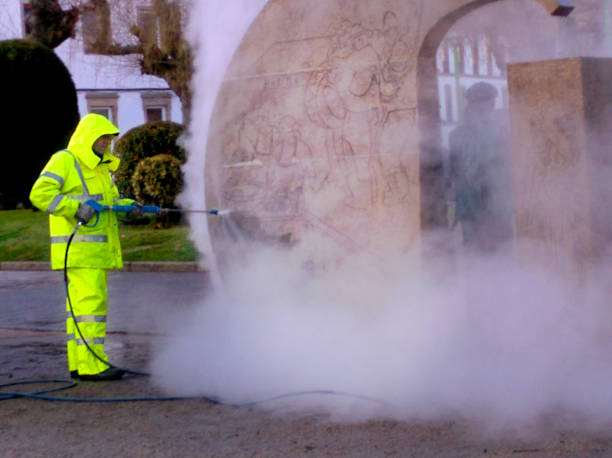 Best Pressure Washing Company Near Me  in Inver Grove Heights, MN