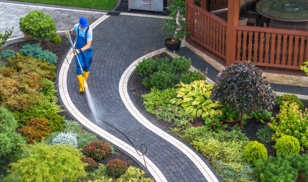 Best Sidewalk Pressure Washing  in Inver Grove Heights, MN